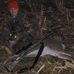 Carter Murphy - Facebook