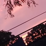 Carter Murray - @cartermurray358 - Instagram