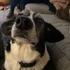 carter.normann - @carter.normann - TikTok