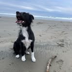 Carter Nunez - Facebook