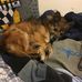 Carter Oakley - Facebook