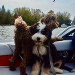 Oakley & Carter - @oakleyandcarter - Instagram