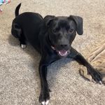 Oakley Carter - @oakley_carter17 - Instagram