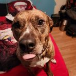 Carter Orr - Facebook