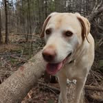Carter Ouellette - @mx_rider213 - Instagram
