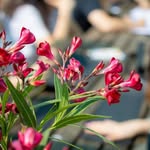 CARTER - @carterparry__3whq - Instagram