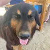 carter - @carter.peters - TikTok