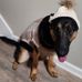Carter Prince - Facebook