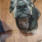 Carter Randall - Facebook