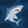 carterrandall4 - @carterrandall4 - TikTok