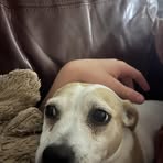 Carter Raymond - Facebook