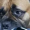 carterrichardson26 - @carterrichardson26 - TikTok