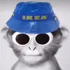 Carter Roberts - @cartrr.roberts - TikTok