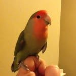 Carter Rockwell - @cgr1003 - Instagram