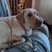 Carter Rockwell - Facebook