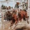 Carter Ryan - @carterryan61 - TikTok
