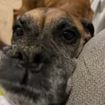 Carter Sands - Facebook