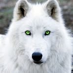 Carter Schneider - Facebook