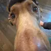 carter scott - @carter.scott67 - TikTok