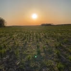 Carter Scott - Facebook