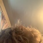 Carter Stanton - @carterstanton7 - Instagram