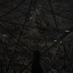 Carter Stewart - @carter.stewart.1293 - Instagram