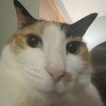 Carter Swanson - @carter081006 - Instagram