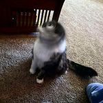 Carter Tuttle - @carter.tuttle - Instagram