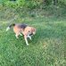 Carter Wall - Facebook