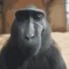 Carter Wall - @carter.wall8 - TikTok