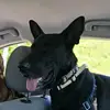 Carter Wallace - @carter.wallace31 - TikTok