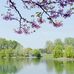 Carter Wallace - Facebook