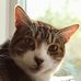 Carter Wallace - Facebook