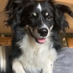 Carter Walz - @cartmin8913 - Instagram