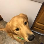 Carter walz - @carter_w26 - Instagram