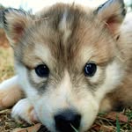 Carter Westlund - @westlund.carter - Instagram
