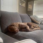 Carter Woods - Facebook