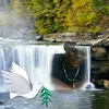 Carvel Jackson - @carveljackson - TikTok