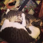 Carver & Murphy: - @carver_and_murphy - Instagram