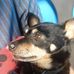 Cary Adams - Facebook