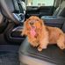 Cary Andersen - Facebook
