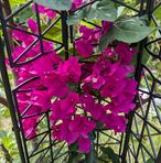 Cary Arnold - Facebook