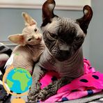Cary Arnold - Facebook