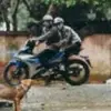 Điều Thỏ - @carybloomfield6 - TikTok