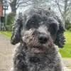 Carys Bright - @carys.bright - TikTok