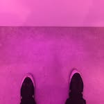 Cary Calvin - @carycalvin2 - Instagram