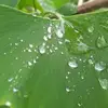 CaseyCary8247 - @caseycary8247 - TikTok