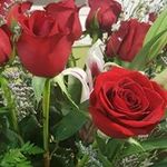 Cary Castillo - @carycastillo4052 - Instagram