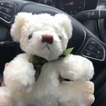 Cheng Cary - @chengcary1 - Instagram