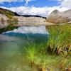 carycherry2 - @carycherry2 - TikTok